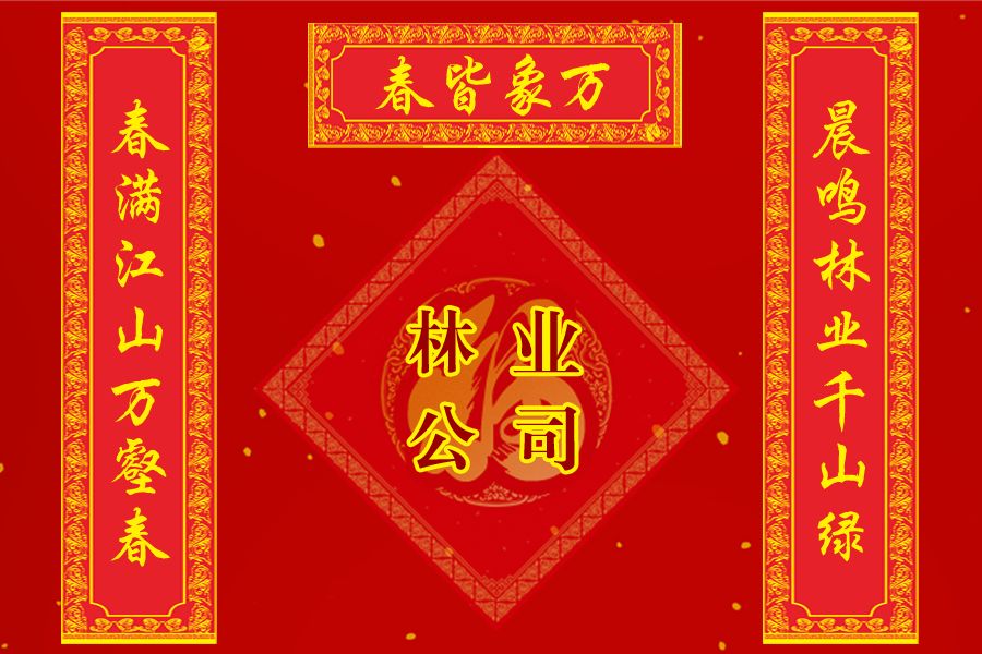 春联贺新年