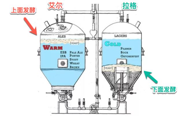 冷藏发酵是什么原理_超市冷藏区放什么(2)