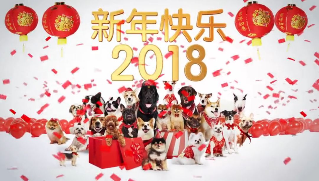 狗年行大运,萌犬来拜年!祝福大家新年旺旺旺!