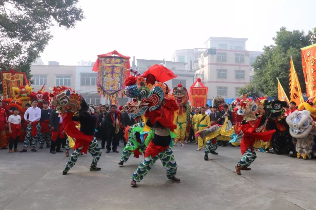 陆河:麒麟献祥瑞,群狮舞新春