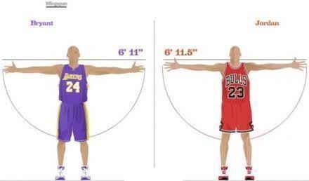 2,臂展长度毫无疑问,手掌大小对于篮球运动员极其重要.
