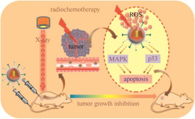 【95周年專刊】綜述：無機奈米藥物載體在腫瘤診療中的研究進展 科技 第6張