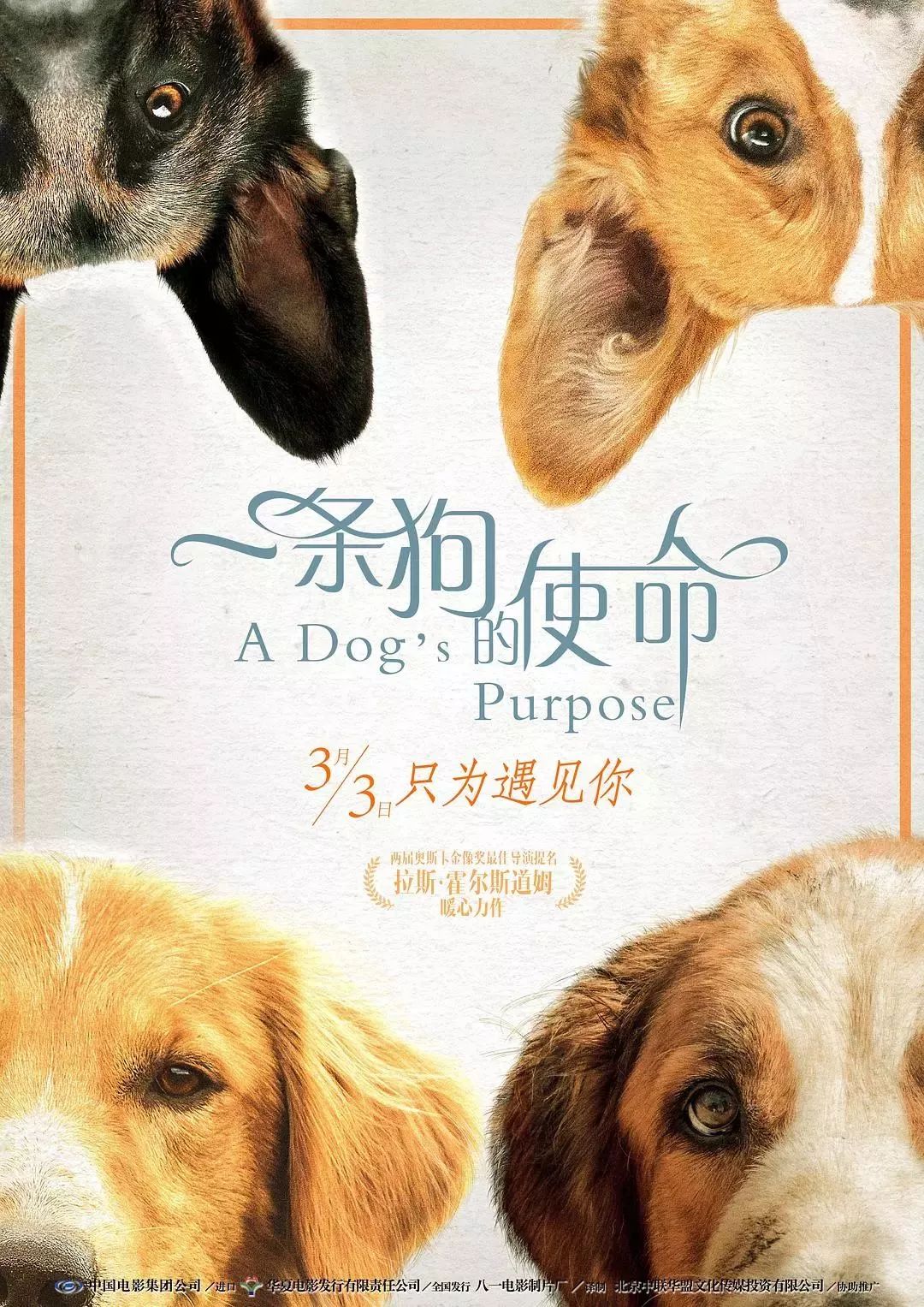 《狗十三》高清完整版在线观看免费-电影-泓天影视