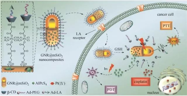 【95周年專刊】綜述：無機奈米藥物載體在腫瘤診療中的研究進展 科技 第5張