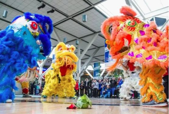 加拿大和德国迪特福特镇的春节过的比大陆还热闹：今天我们都是中国人