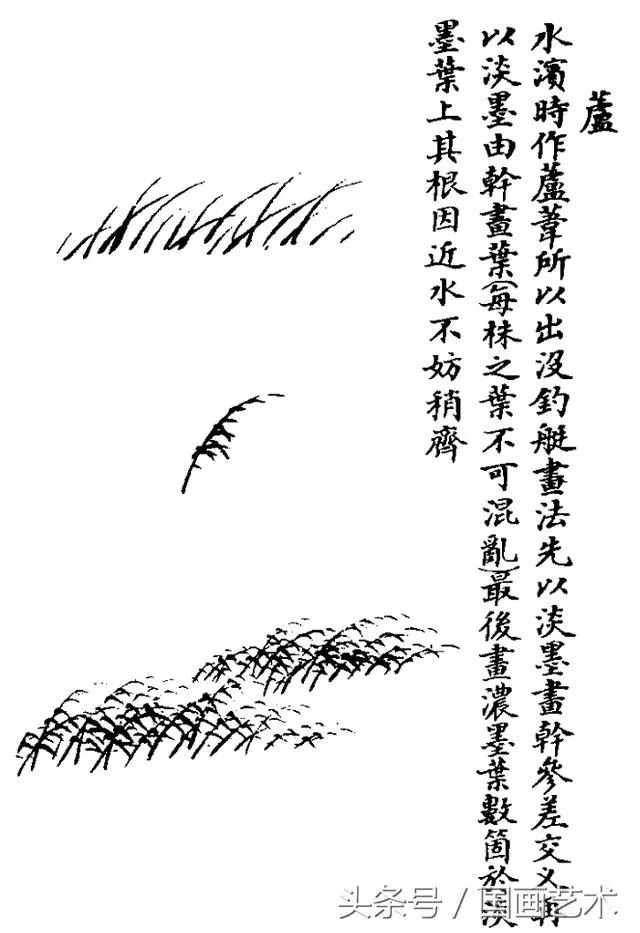 国画入门之树干,树枝,树叶,竹芦水草画法详解