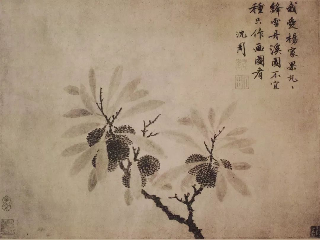 沈周的书法师黄庭坚,绘画造诣尤深,兼工山水,花鸟,也能画人物,以山水