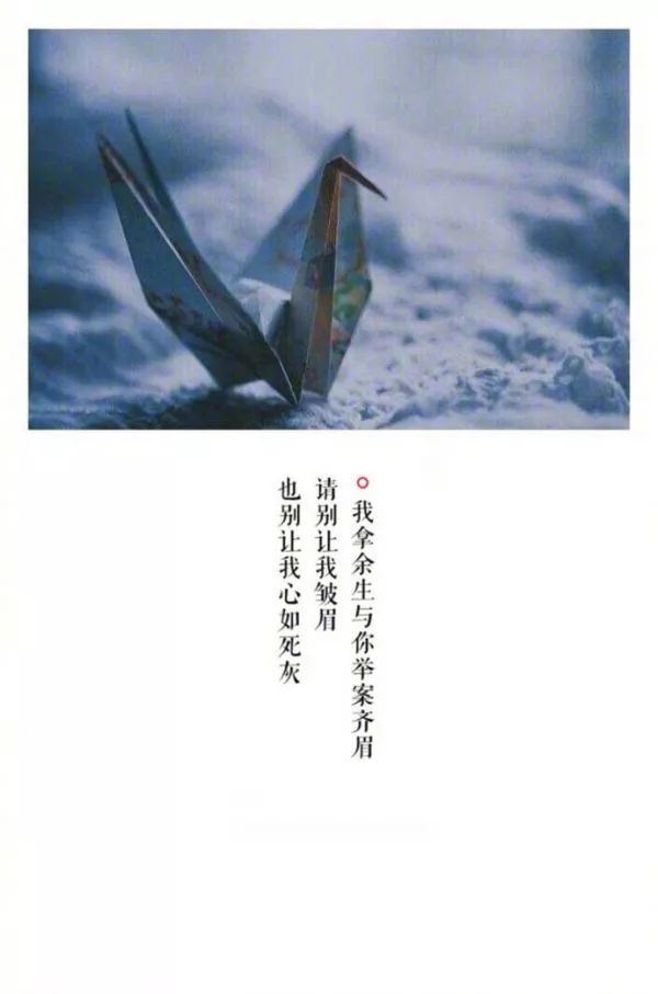 我拿余生与你举案齐眉,请别让我皱眉,也别让我心如死灰.