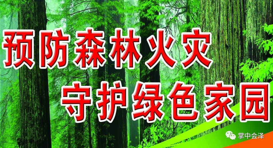 春节期间森林防火倡议书