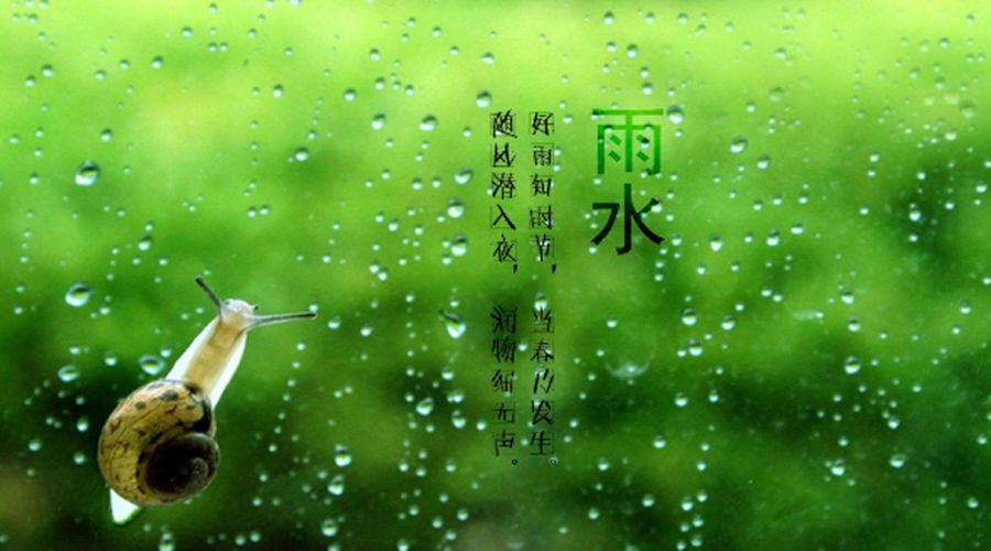 雨水节气,想听下雨的声音