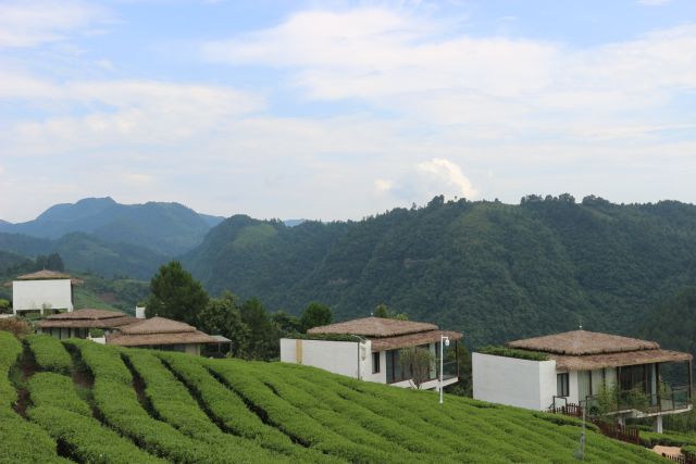 首届婚礼文化旅游节来了! 独山净心谷景区门票免费送