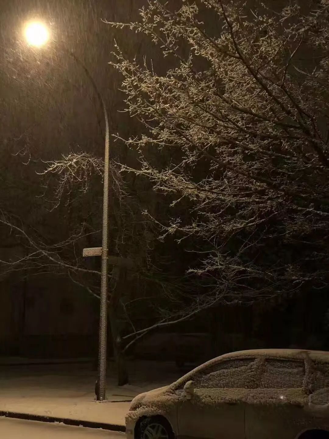 这波深夜的大雪也值得晒,毕竟手机夜景越来越强了.