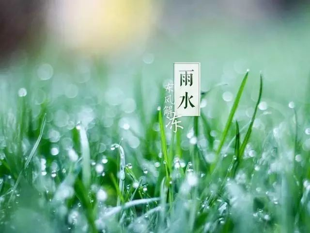 贵阳银行·【爱莉说】诗词里的二十四节气·雨水