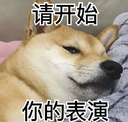 柴犬表情包,有谁需要?快拿走,不用谢!