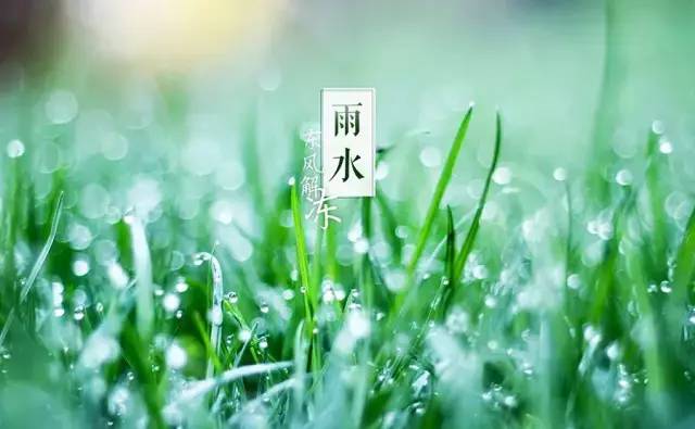 雨碎江南笛子曲谱_雨碎江南笛子简谱(5)