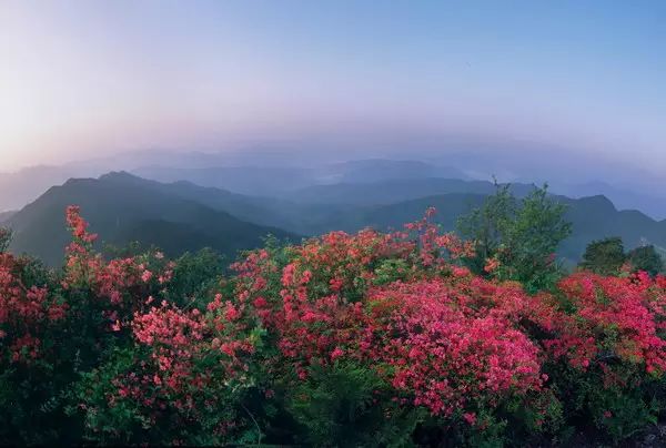 四海山景区,浙江省级森林公园,位于楠溪江风景名胜区北部,属括苍山