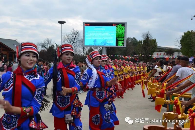 在石林风景区,来自各村各寨的撒尼大三弦演出队将欢乐和热情传递给