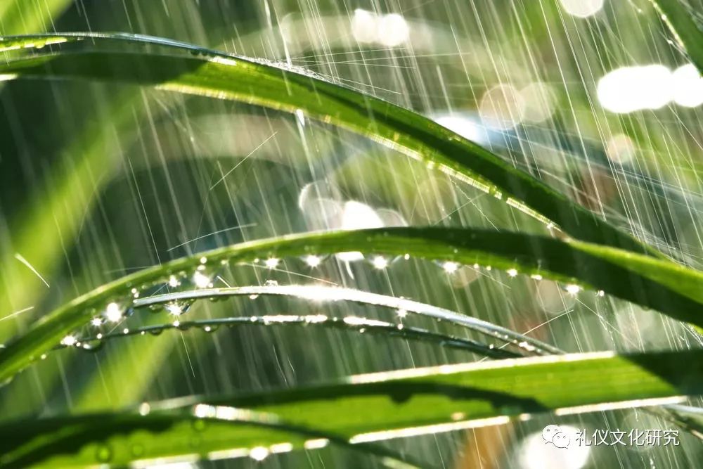 雨水