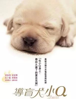 no.3 导盲犬小q二货进入老于的生活之后,他是看不惯二货的,各种嫌弃.