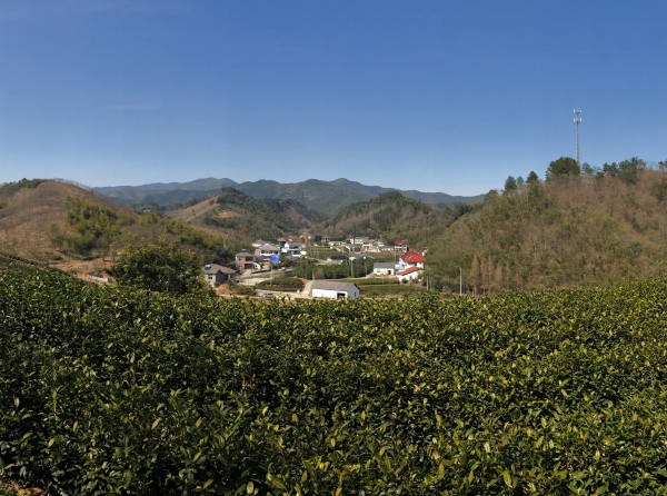 我的老家,是一个风景秀丽的小山村.邓国芳 摄