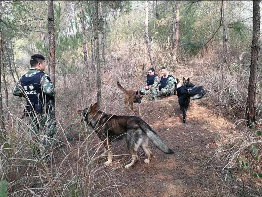 张家界除夕杀人案犯罪嫌疑人被抓捕归案!