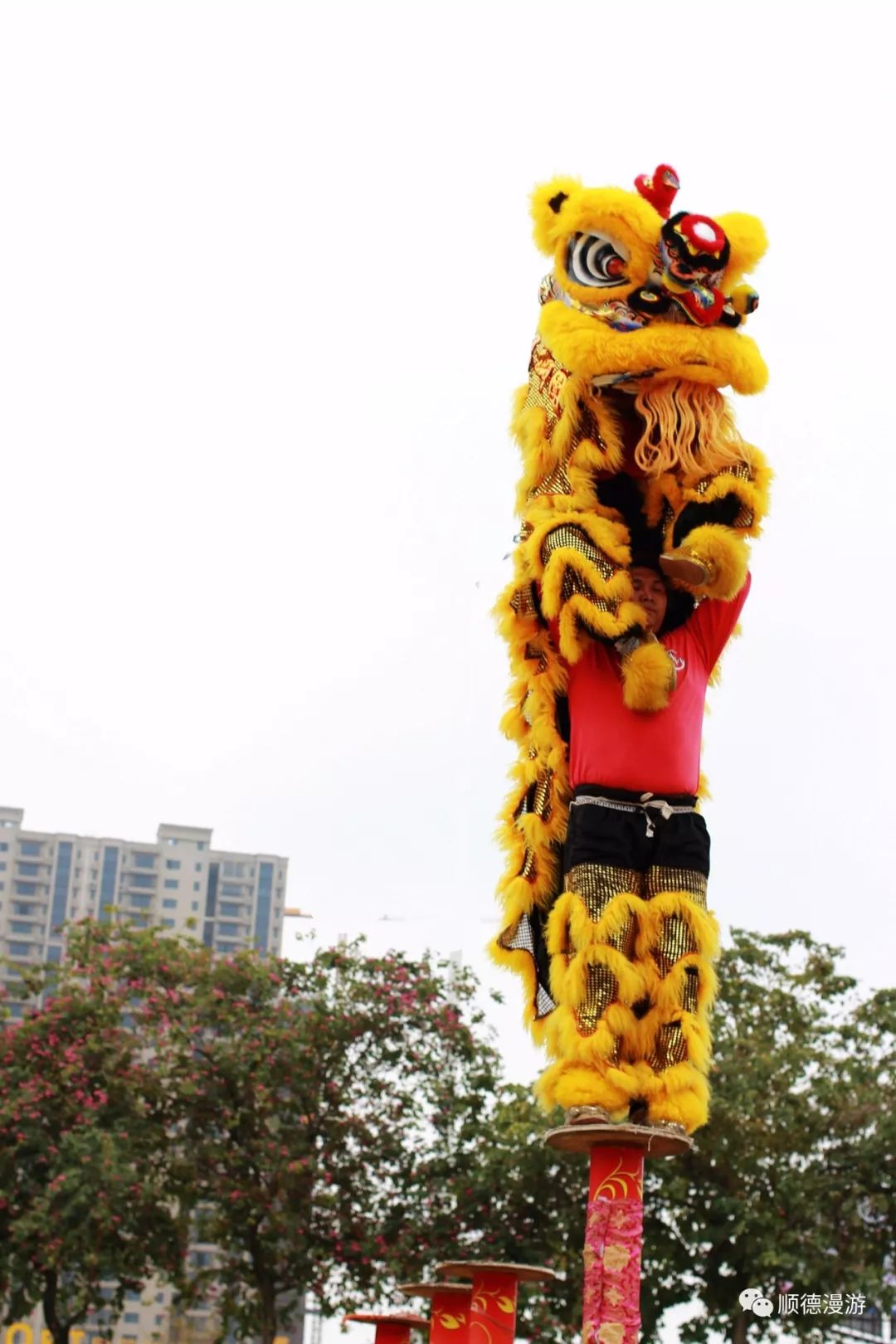 顺德龙江仙塘醒狮贺岁