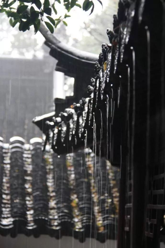 雨水节气,想听下雨的声音