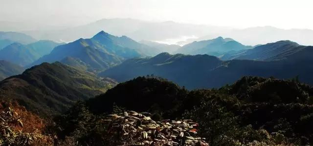 【微吉安】春节上哪玩?吉安市国家a级旅游景区(点)盘点