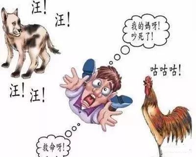 看图猜含有狗字的成语_含有船字的成语看图