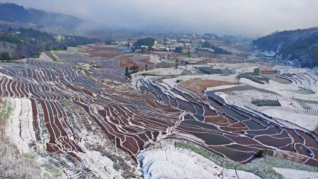 沙湾县人口有多少