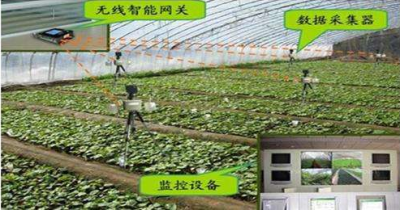 农业物联网:智能农业温室管理系统解决方案