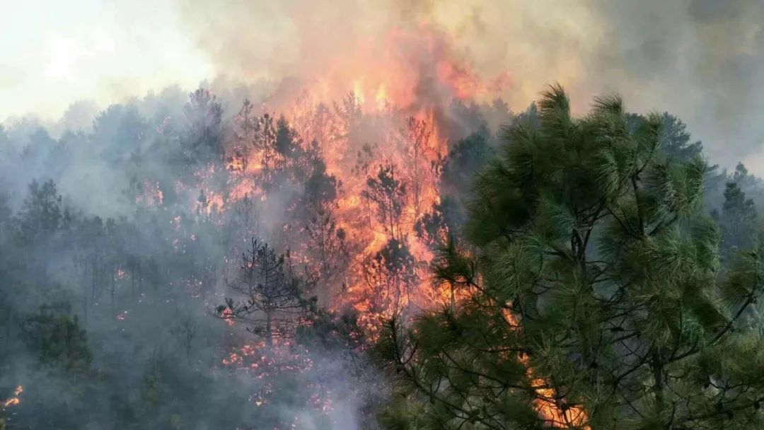 近日,西昌,越西,盐源,会东……凉山多地发生山火