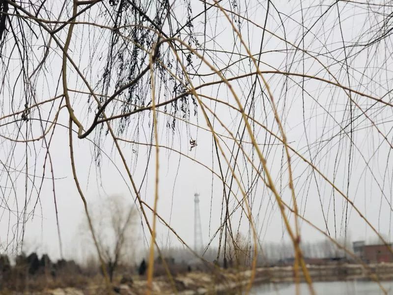 越节气雨水之时绝胜烟柳郑旺的初春时光