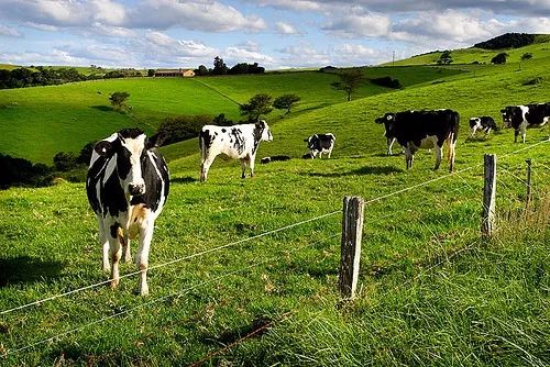 投资澳大利亚农牧业指南