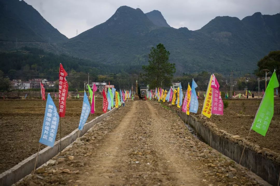 新春走基层 大年初四,阳山县黎埠镇蕉冲村民干了一件大事