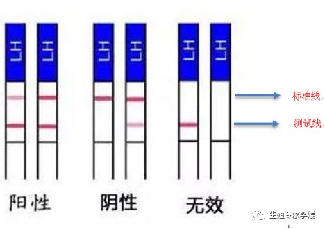 女性来月经的原理_月经停止   怀孕前的第一信号就是\