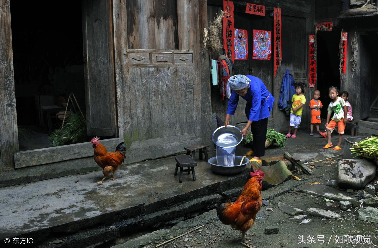 ãroosterãçåçæå°çµæ