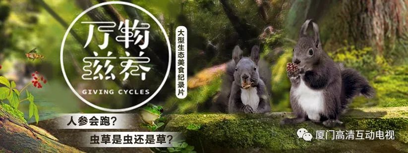 寒气逆极,需《万物滋养》暖心问候