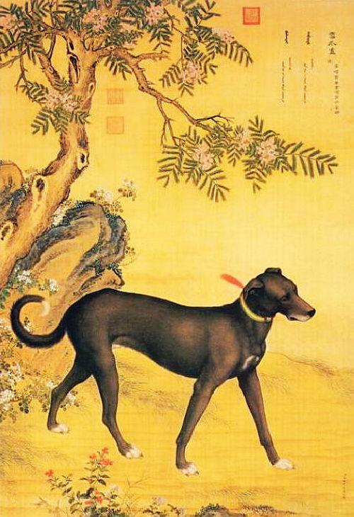 狗年说狗-清 郎世宁《十骏犬图》