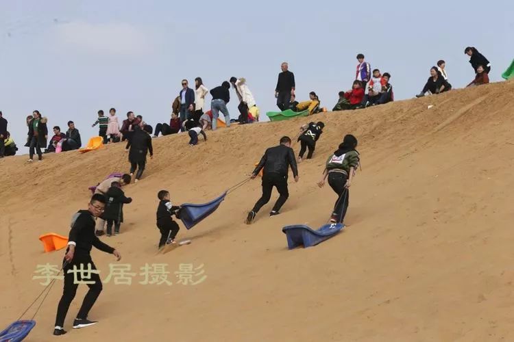 帅爆了丨大荔沙苑景区春节期间每日接待逾万名游客