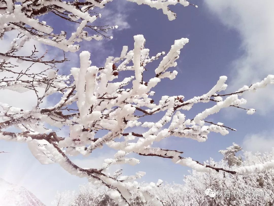 飞雪飘舞中,龙风桥,许愿树,南山不老松,鹊桥……构成一幅水墨山水画