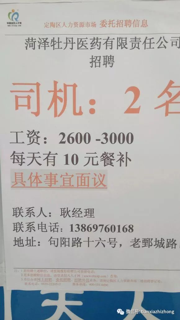 定陶招聘_2021年菏泽市定陶区教体系统公开招聘教师163人职位表