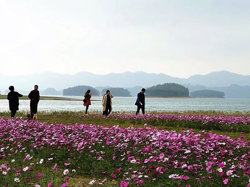 大隆洞景区