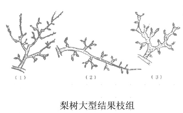 截长什么短成语_成语故事图片(2)