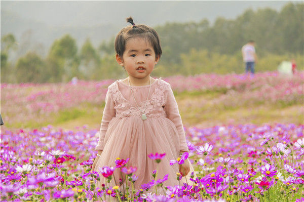 格桑花婚纱照_格桑花图片高清(2)