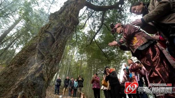 芷江"王沙侗寨"年味浓 大年三十男人干活女人休息