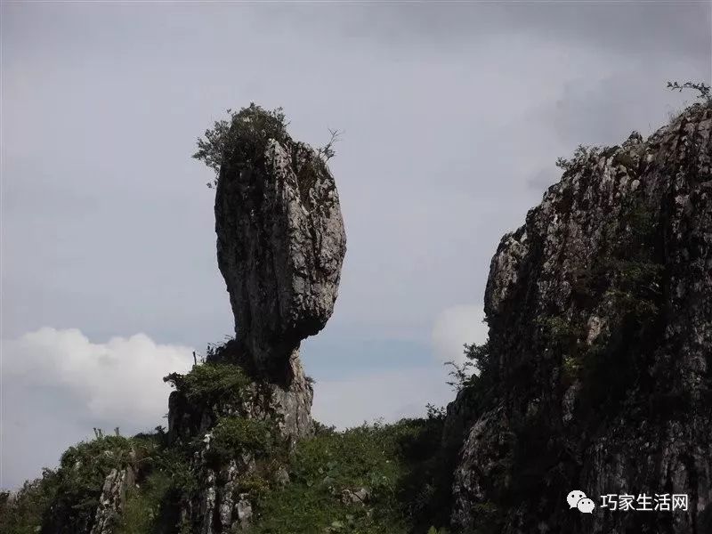 脍炙人口呀_脍炙人口图片