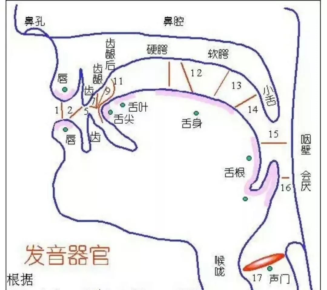 如何控制你唱歌时的气息?得这样练!