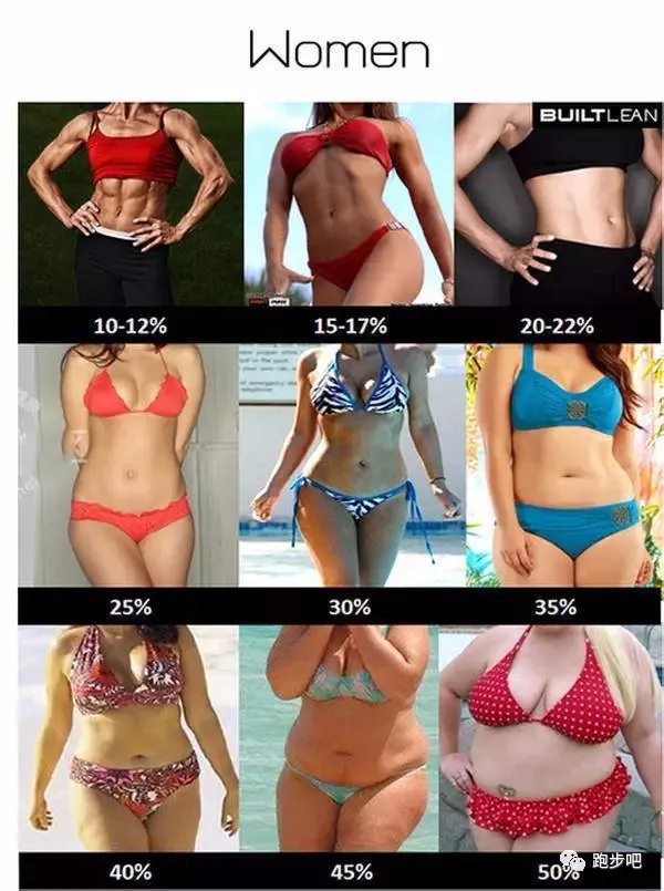 40 代 女性 体 脂肪