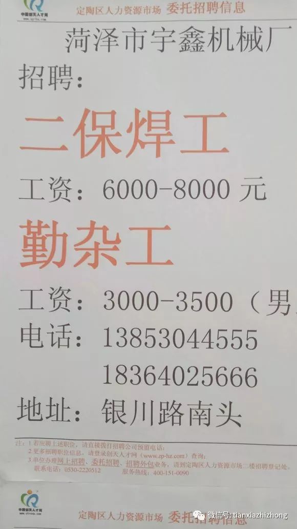 定陶招聘_2021年菏泽市定陶区教体系统公开招聘教师163人职位表(3)